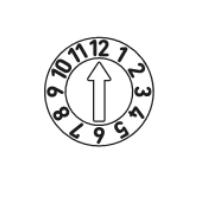 Type B (month)