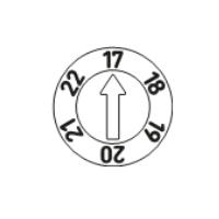 Type C (6 years)